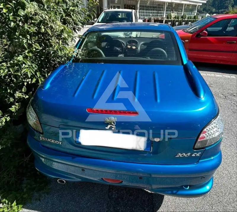 2006 Peugeot 207