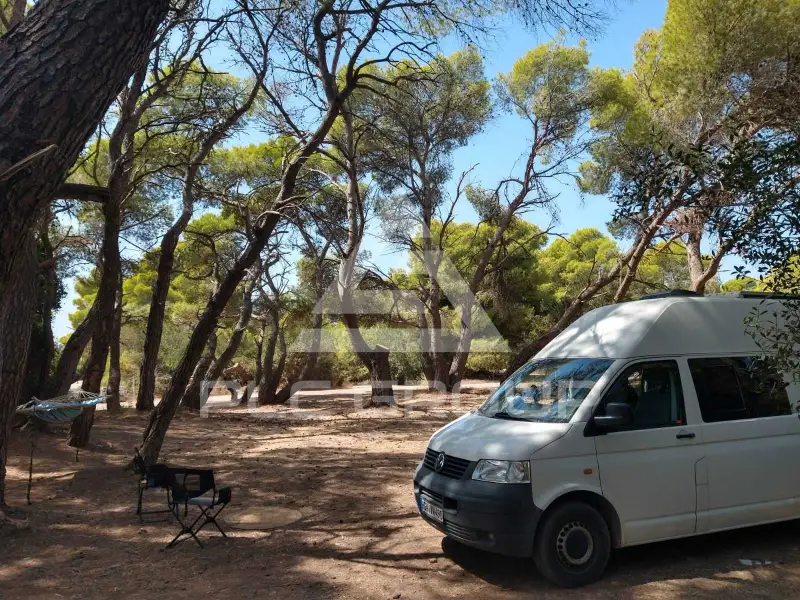 2006 Volkswagen T5