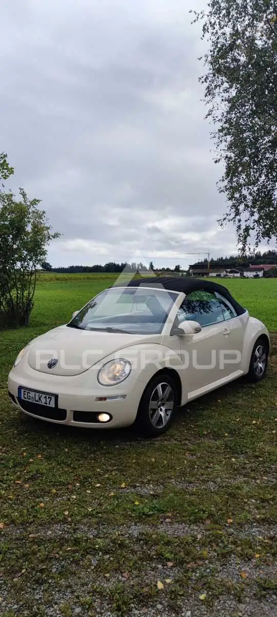 2006 Volkswagen BEETLE