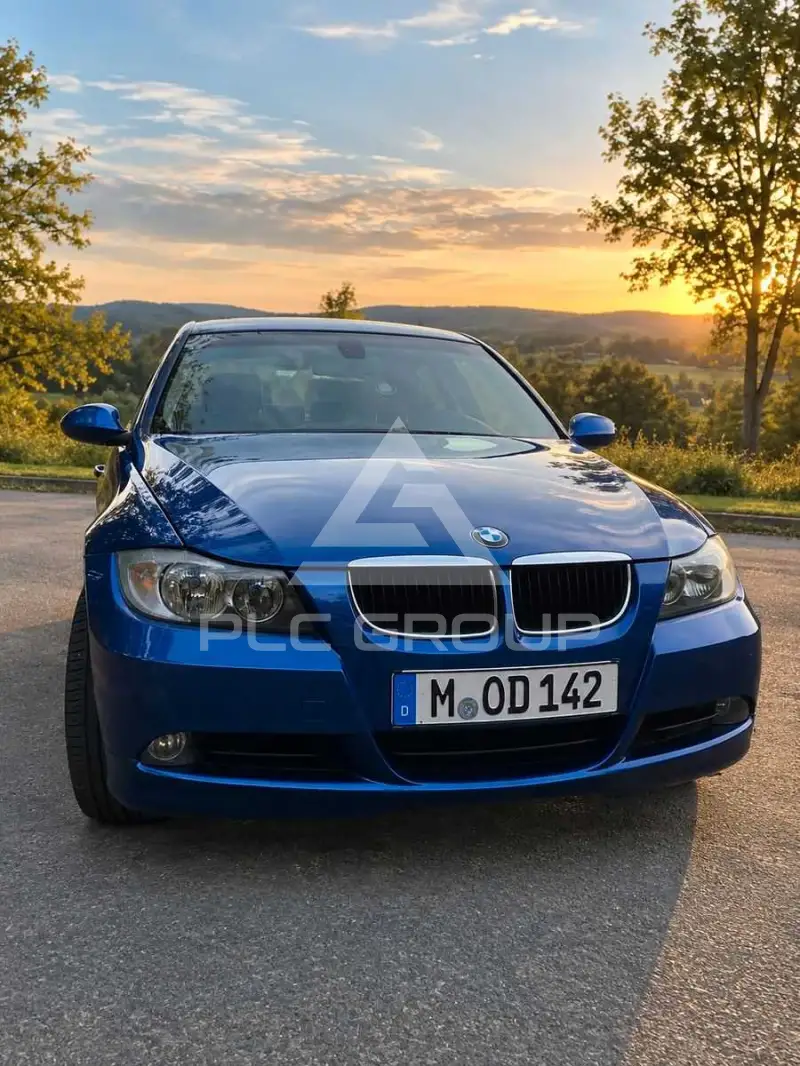 2007 BMW 318