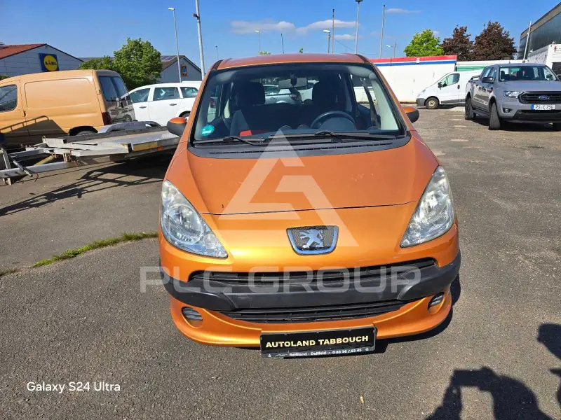 2007 Peugeot 1007
