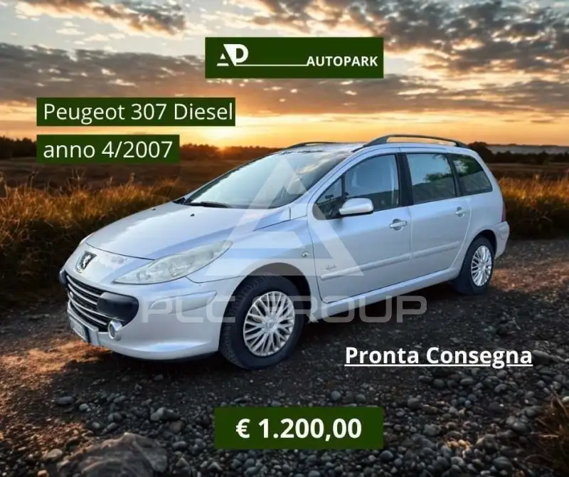 2007 Peugeot 307