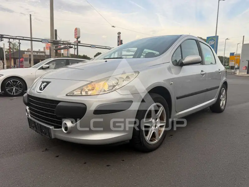 2007 Peugeot 307