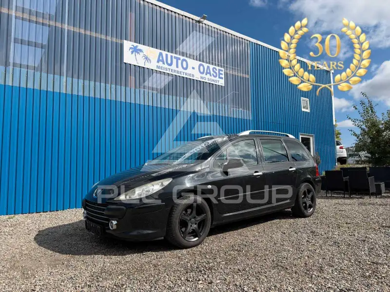 2007 Peugeot 307