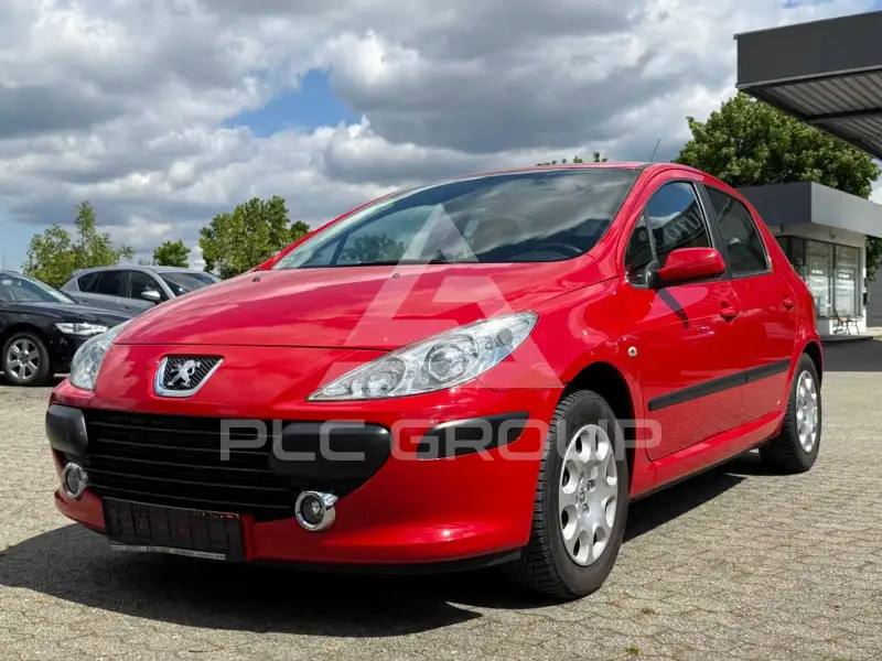 2007 Peugeot 307