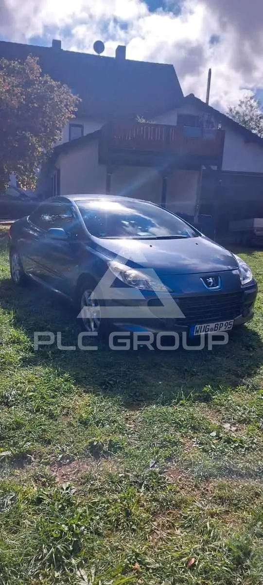 2007 Peugeot 307