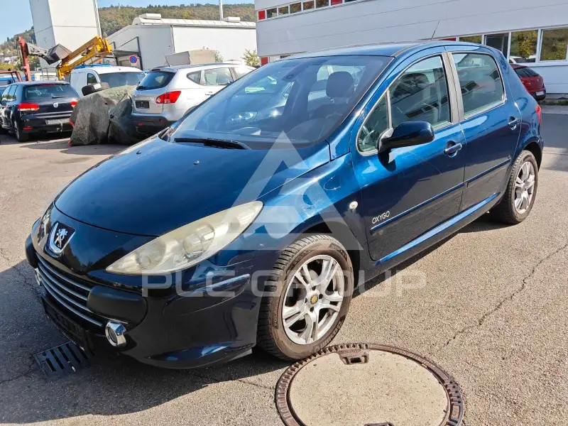 2007 Peugeot 307