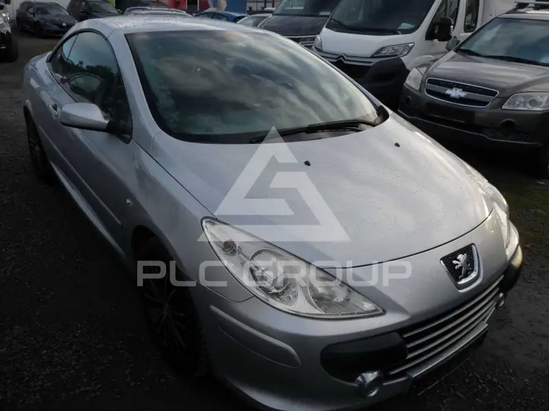 2007 Peugeot 307