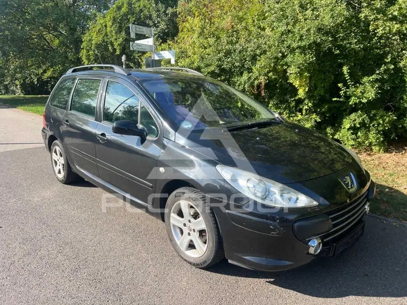 2007 Peugeot 307