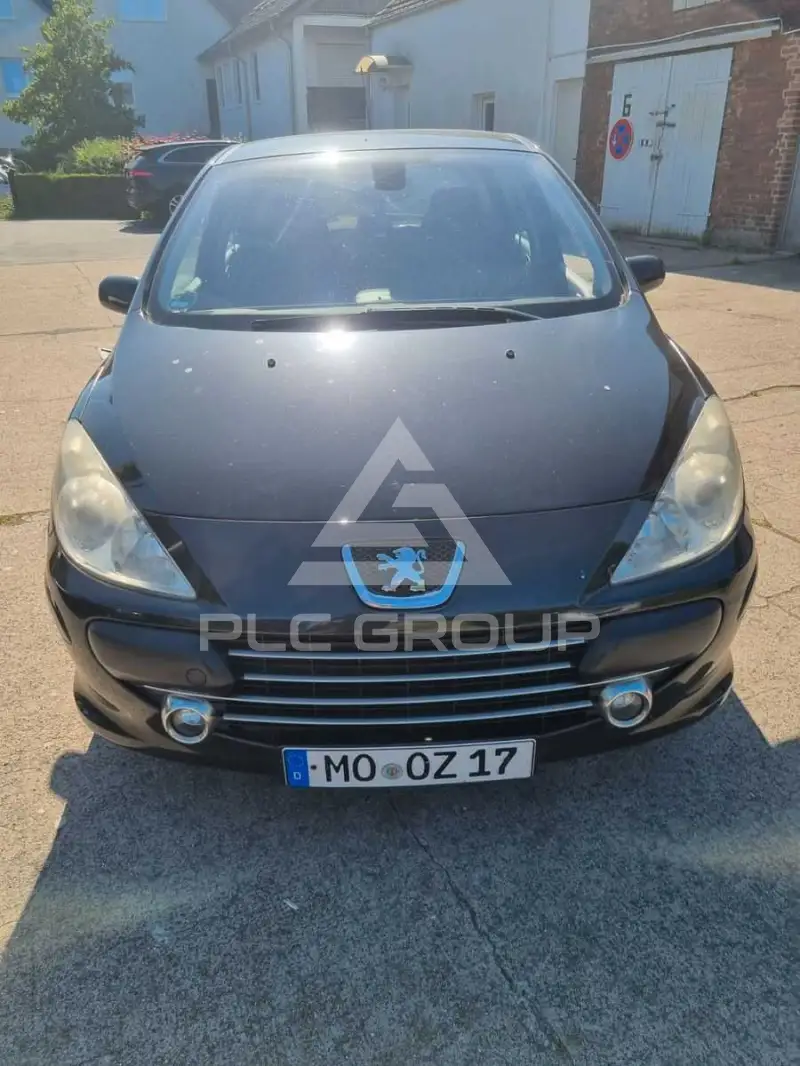 2007 Peugeot 307