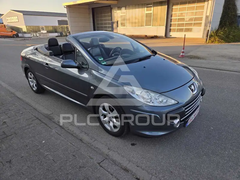 2007 Peugeot 307