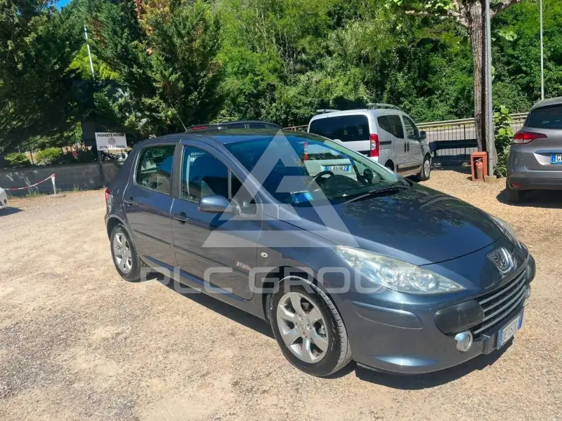 2007 Peugeot 307