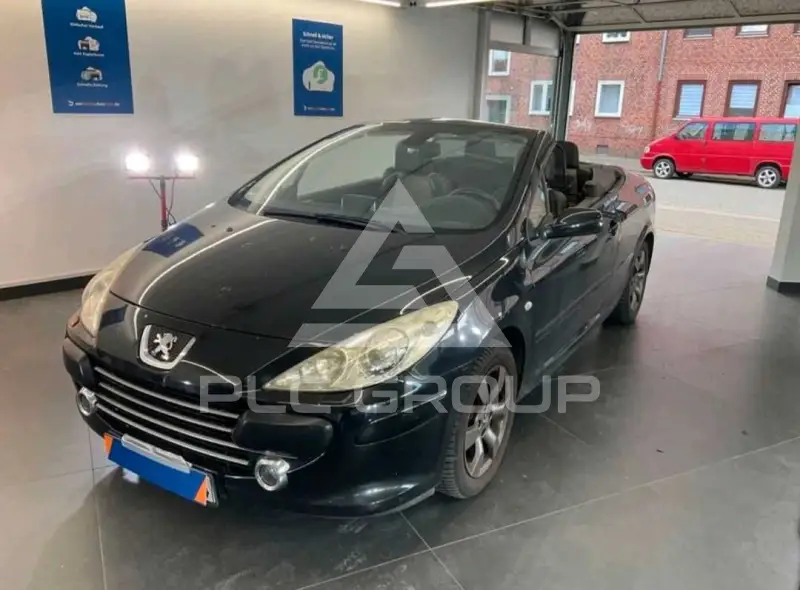 2007 Peugeot 307