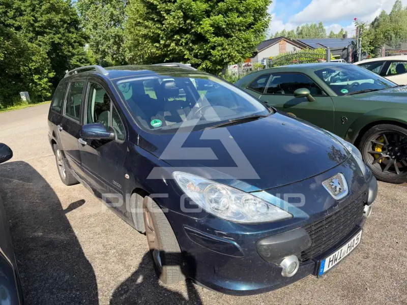 2007 Peugeot 307