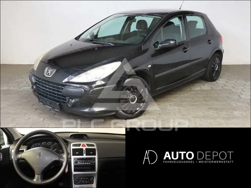 2007 Peugeot 307