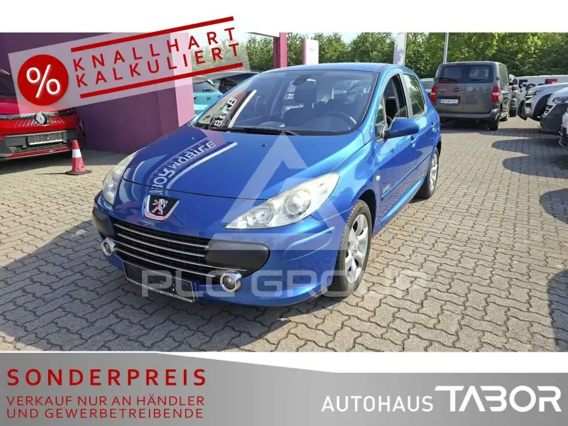 2007 Peugeot 307