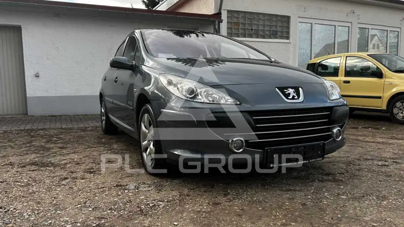 2007 Peugeot 307