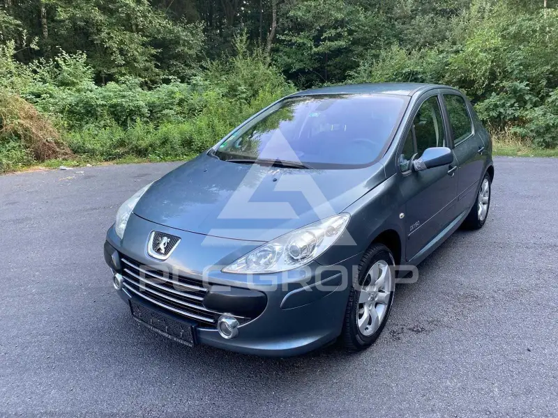 2007 Peugeot 307