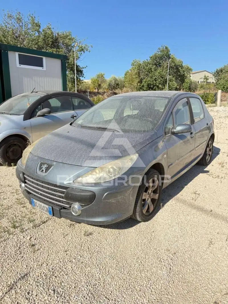 2007 Peugeot 307