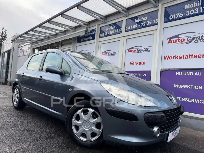 2007 Peugeot 307