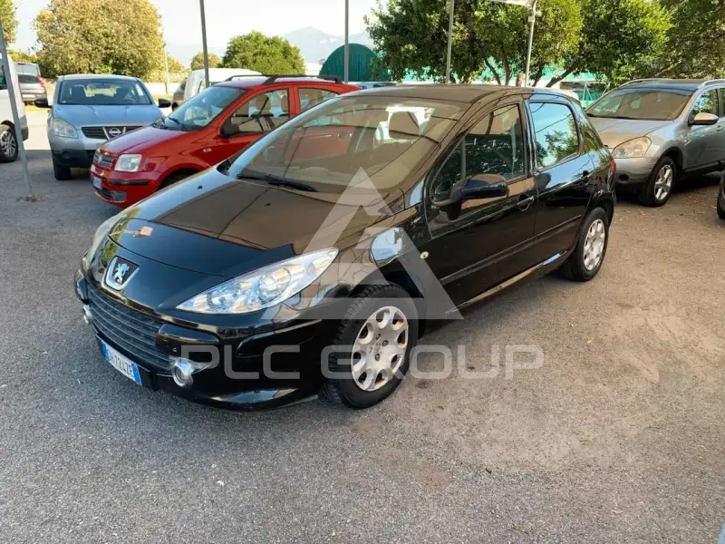 2007 Peugeot 307
