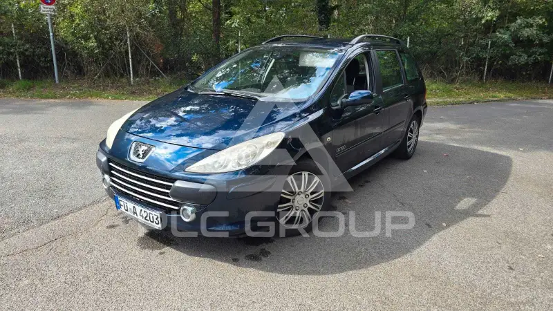 2007 Peugeot 307