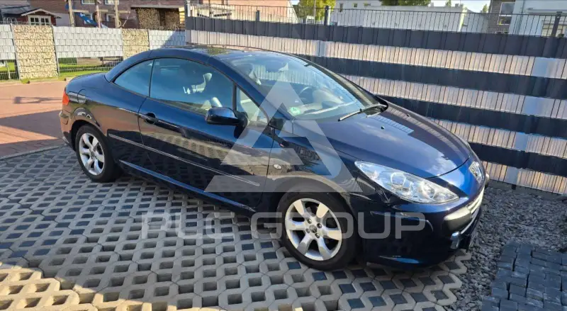 2007 Peugeot 307