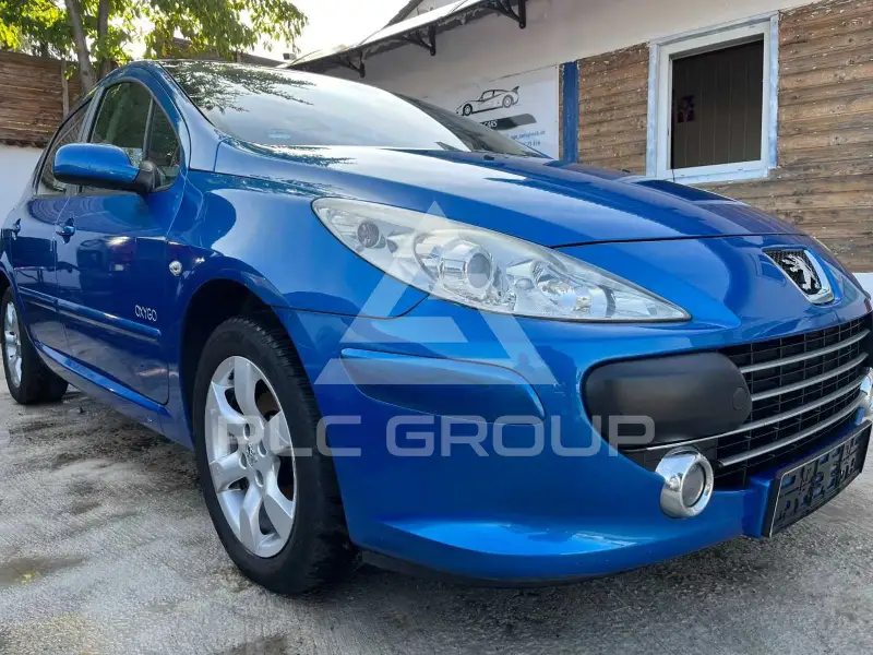 2007 Peugeot 307
