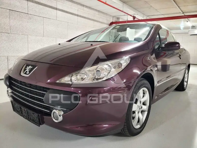 2007 Peugeot 307