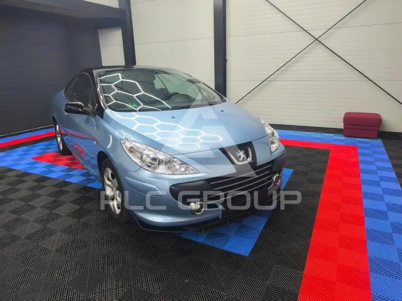 2007 Peugeot 307
