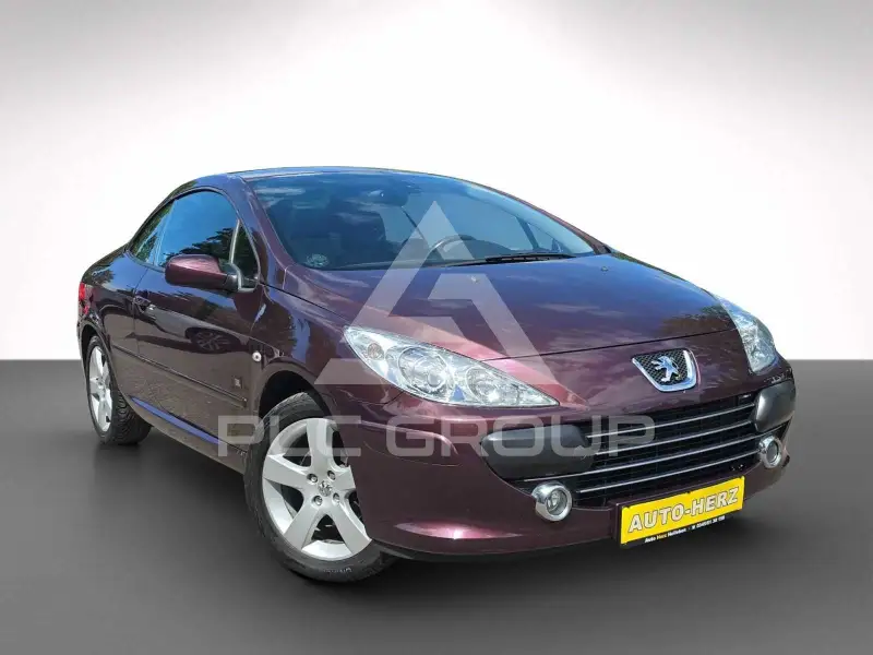 2007 Peugeot 307