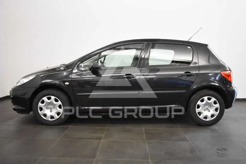 2007 Peugeot 307