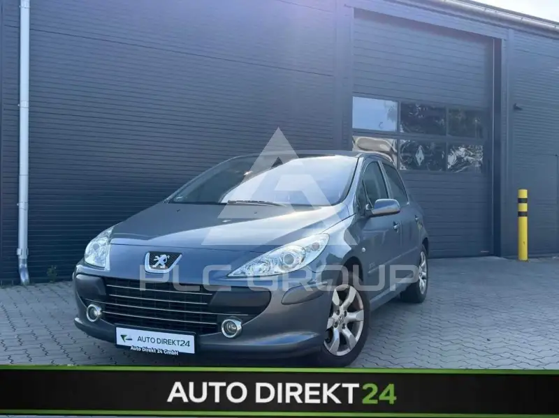 2007 Peugeot 307