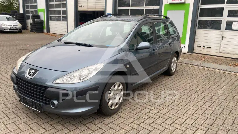 2007 Peugeot 307