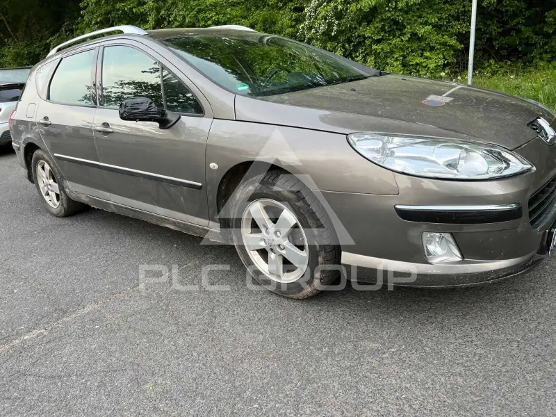 2007 Peugeot 407