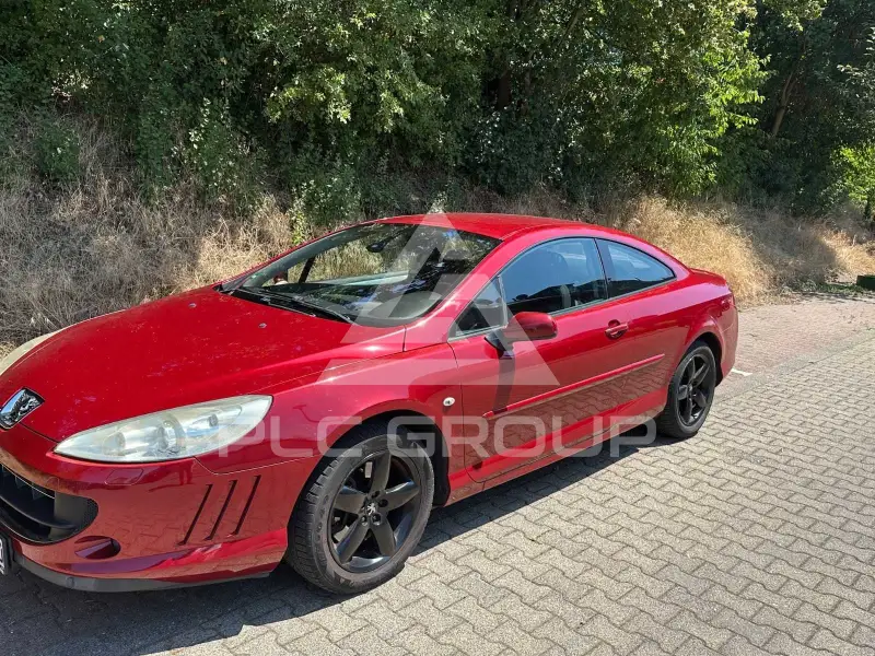 2007 Peugeot 407