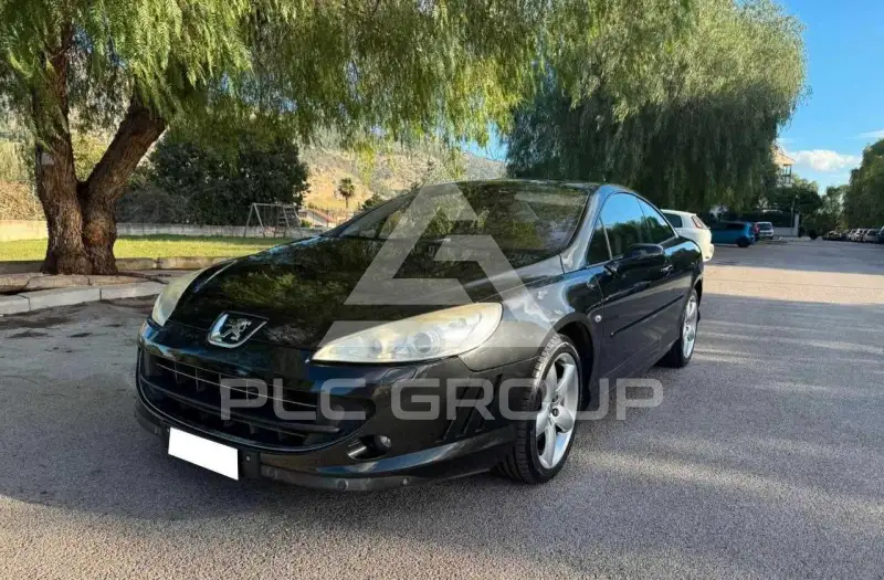 2007 Peugeot 407