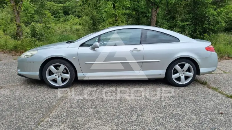 2007 Peugeot 407
