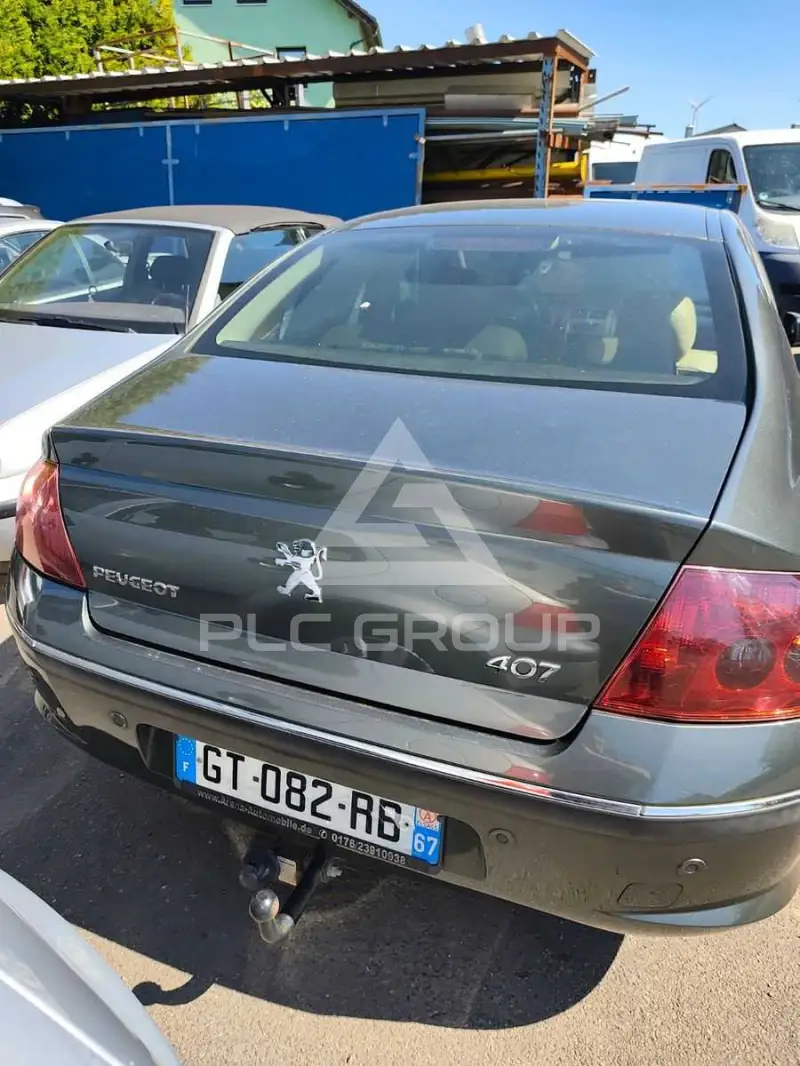 2007 Peugeot 407