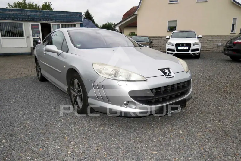 2007 Peugeot 407