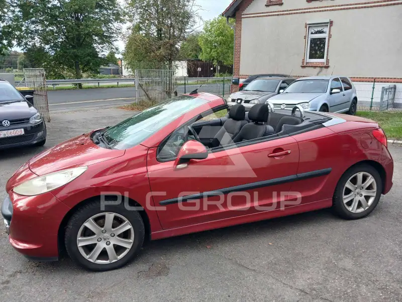 2007 Peugeot 207