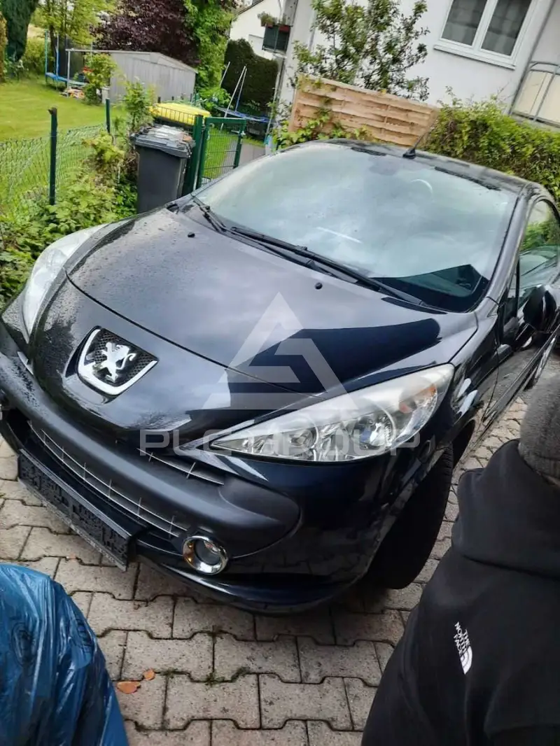 2007 Peugeot 207