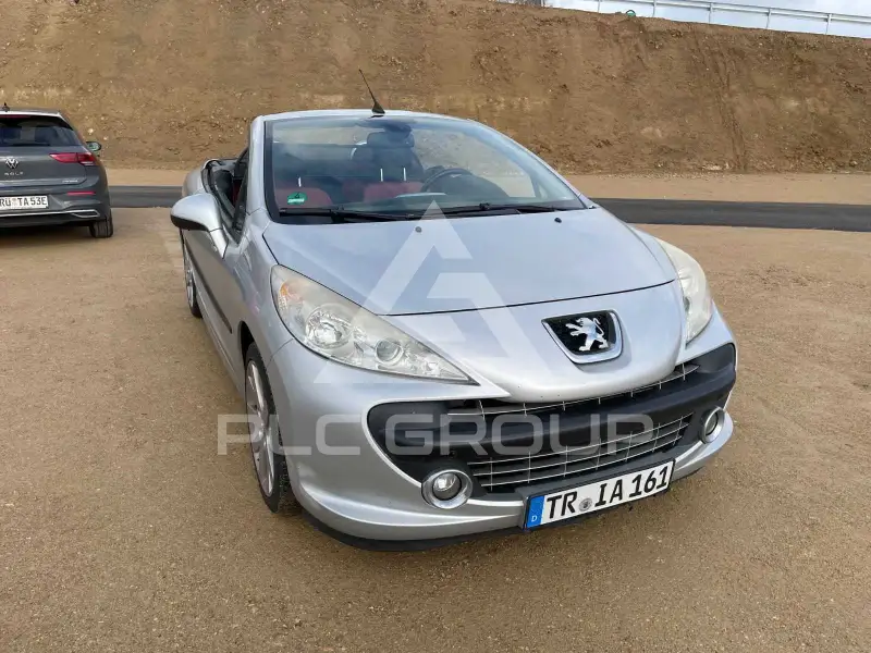 2007 Peugeot 207