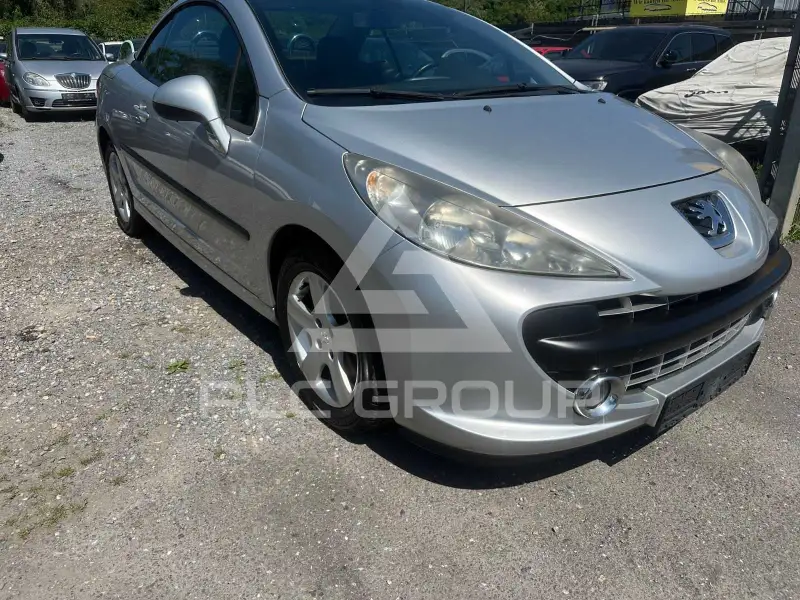 2007 Peugeot 207