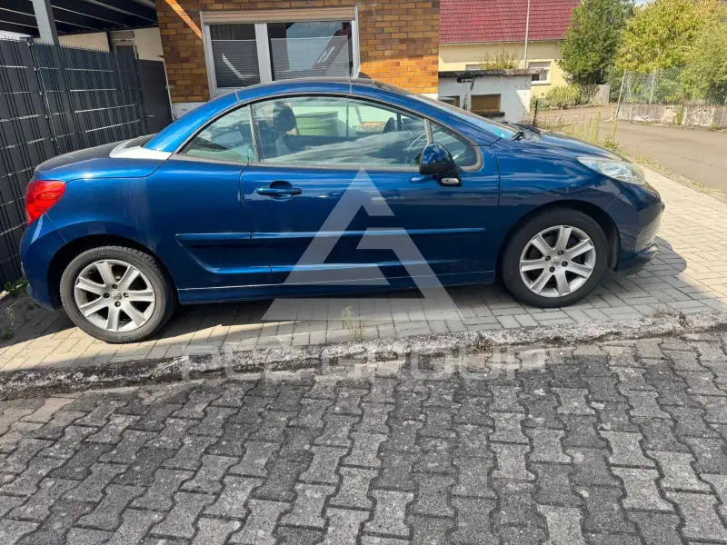 2007 Peugeot 207