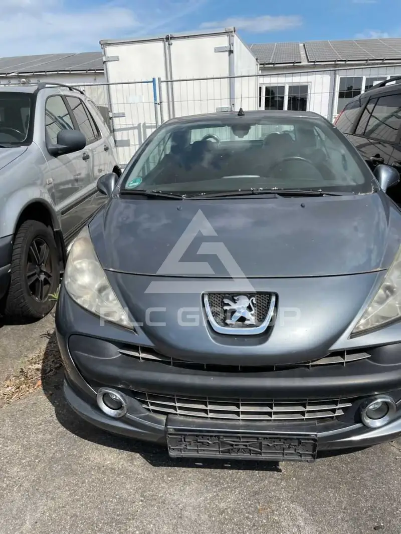 2007 Peugeot 207