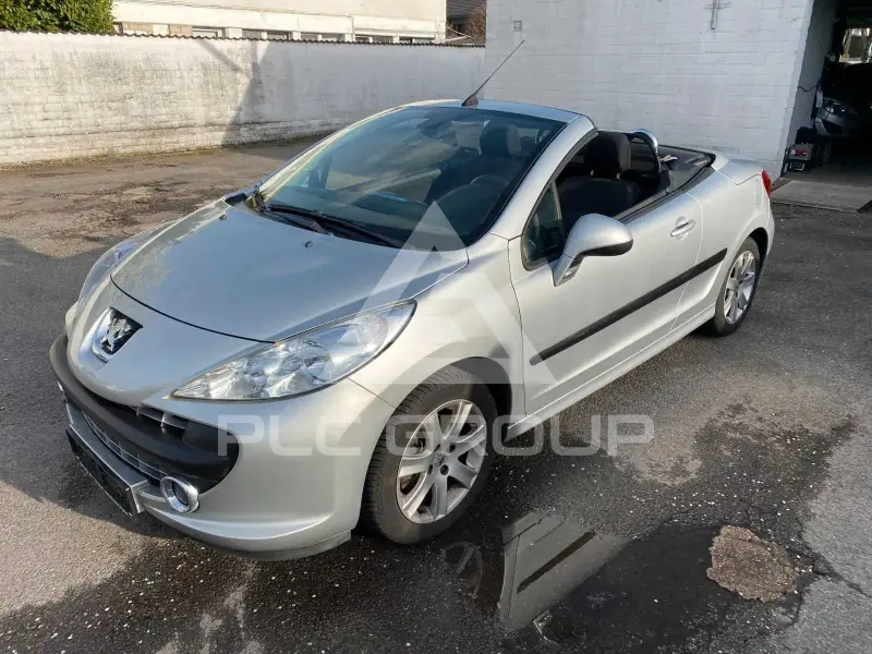 2007 Peugeot 207