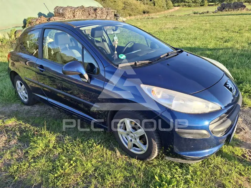 2007 Peugeot 207