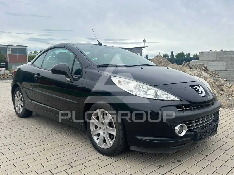 2007 Peugeot 207