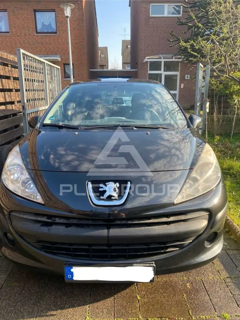 2007 Peugeot 207